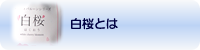 ホワイトバルーンとは